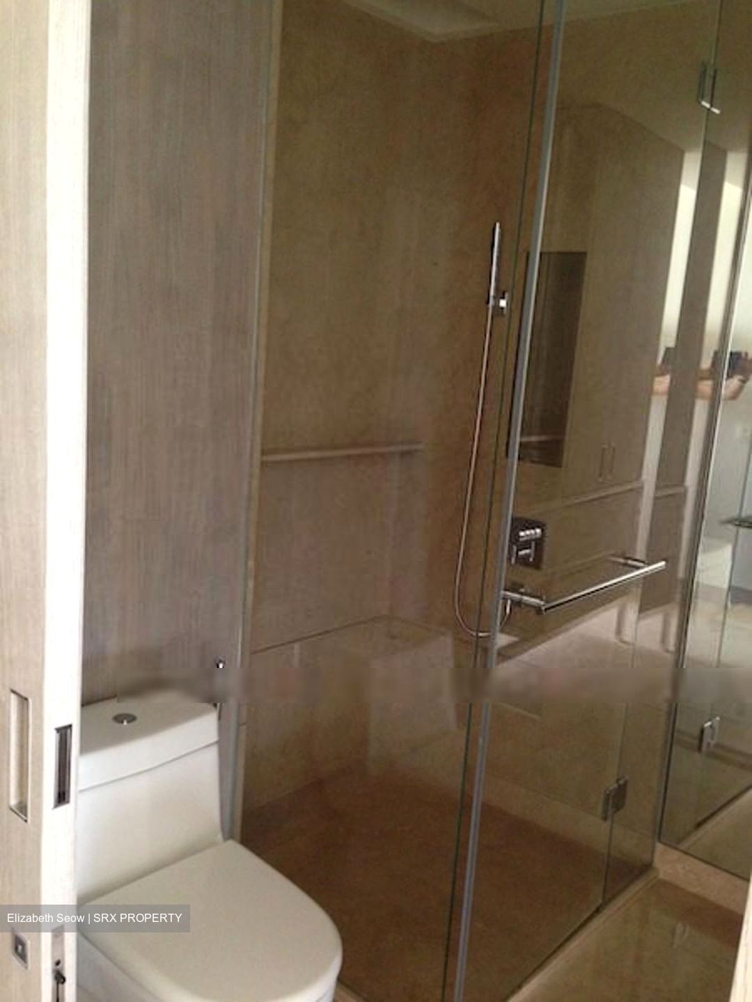 Ardmore Residence (D10), Condominium #381104951